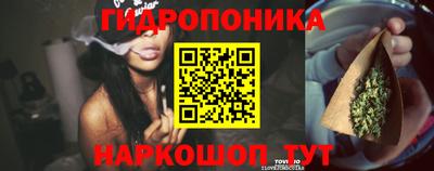 apvp Партизанск