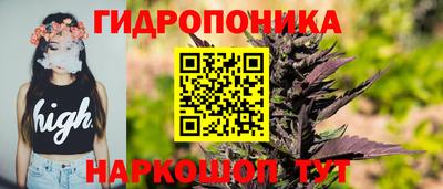 apvp Партизанск