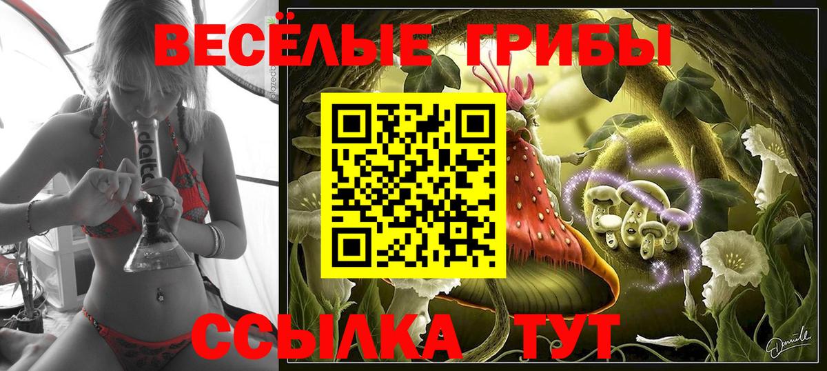 Галлюциногенные грибы мицелий  Галлюциногенные грибы GOLDEN TEACHER  Северск  Вход с VPN 